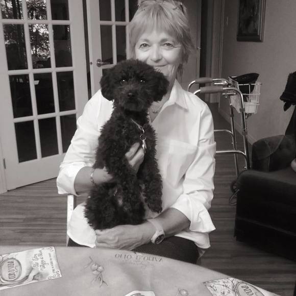 Meet your Posher, Charlotte - Picture 1 of 1